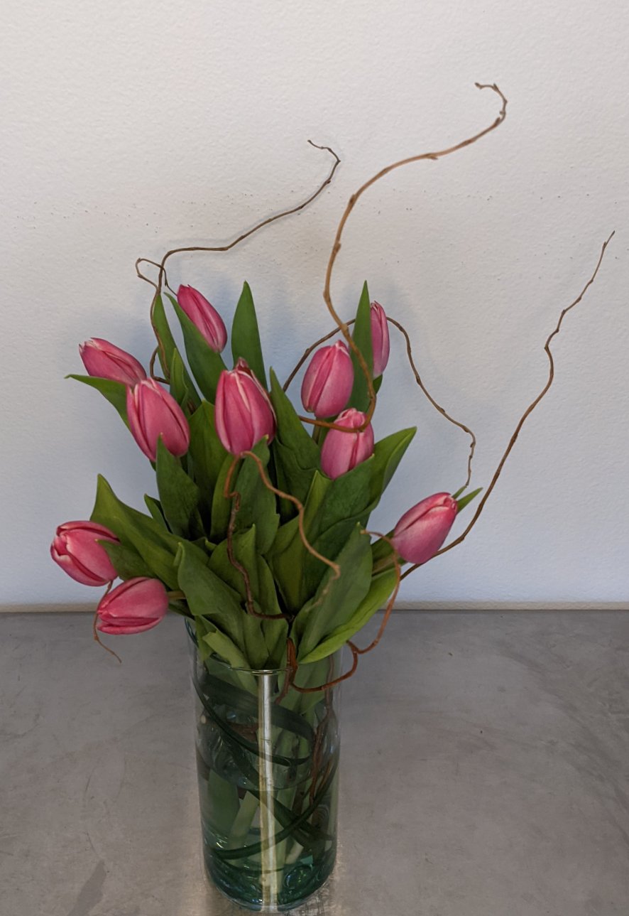 Small Truly Tulips