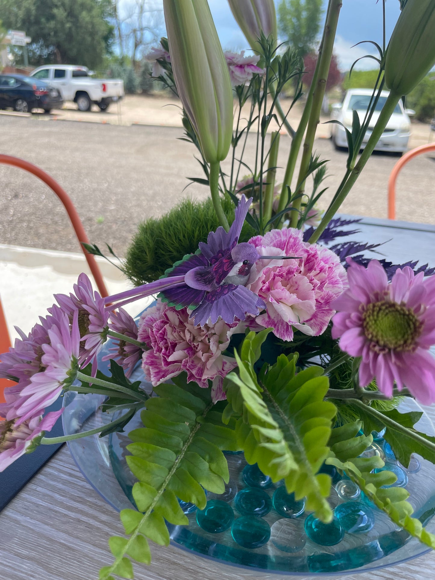 Hummingbird’s garden