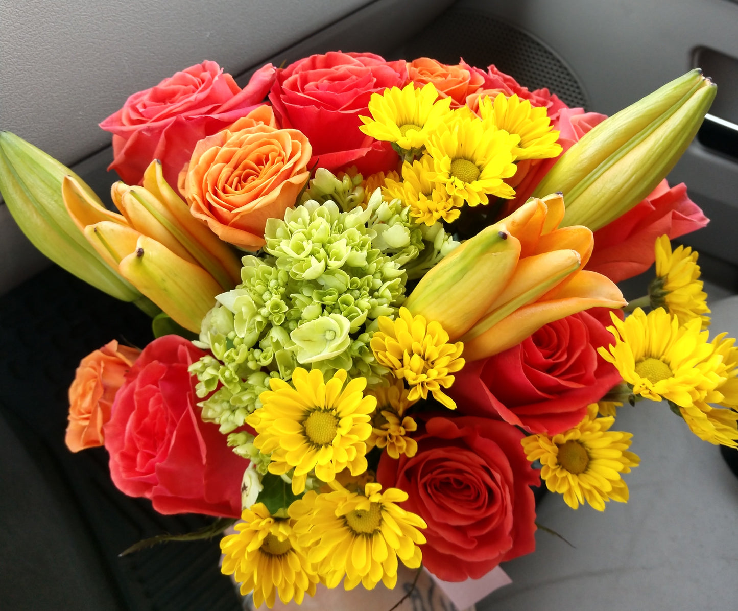 Designer's Choice - Deal of the Day