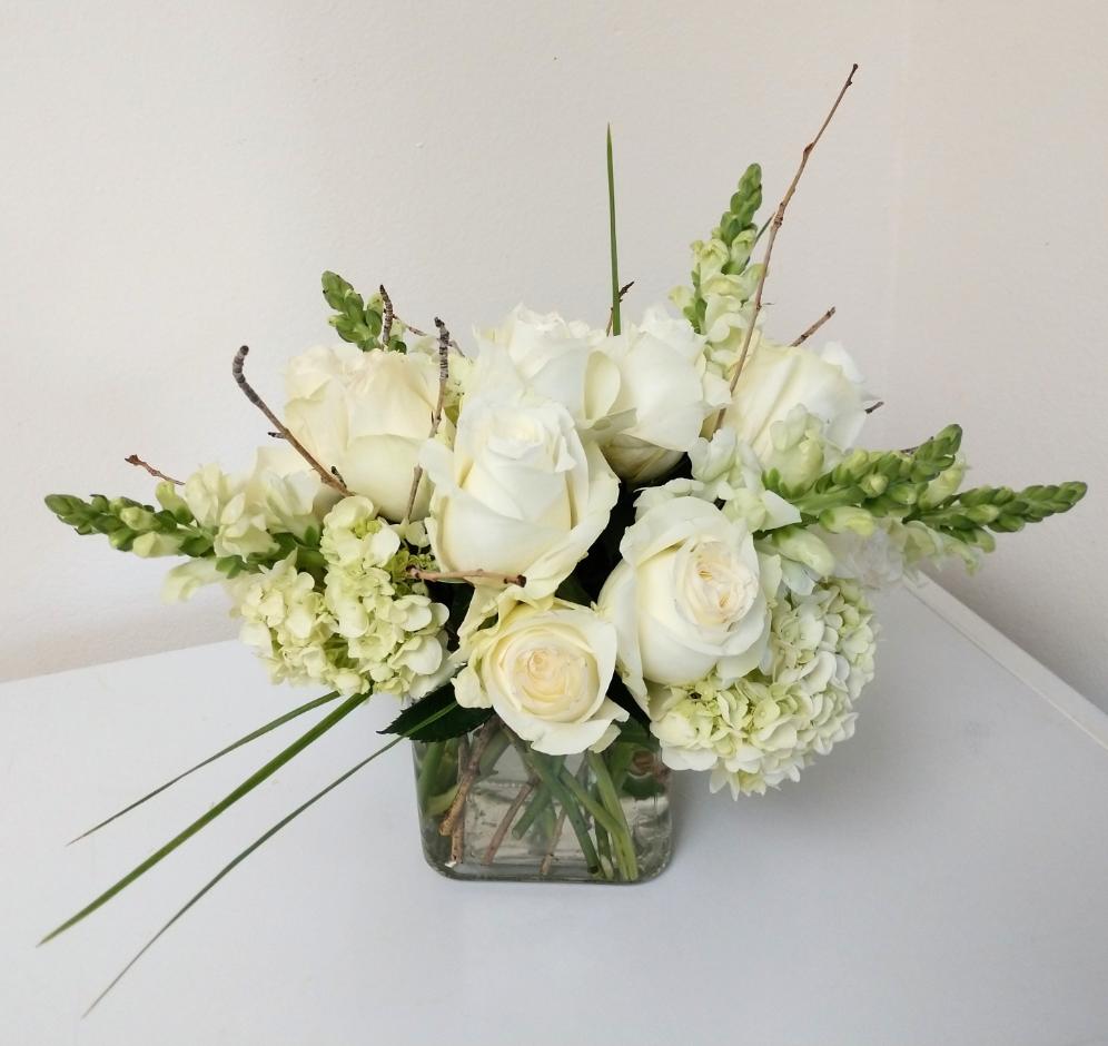 Serene Blooms