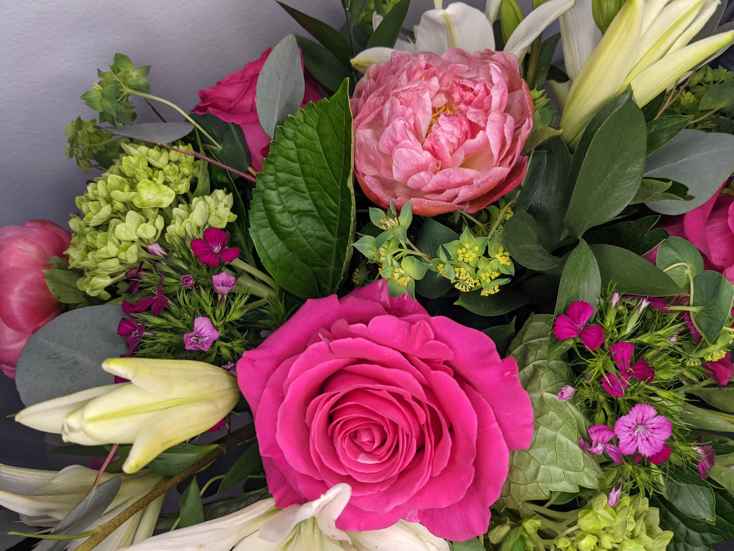 Lush Love