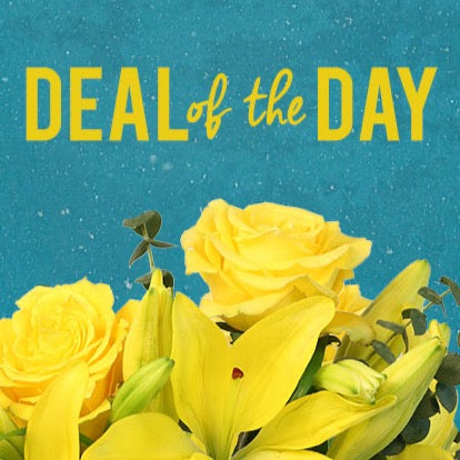 Deal of the Day