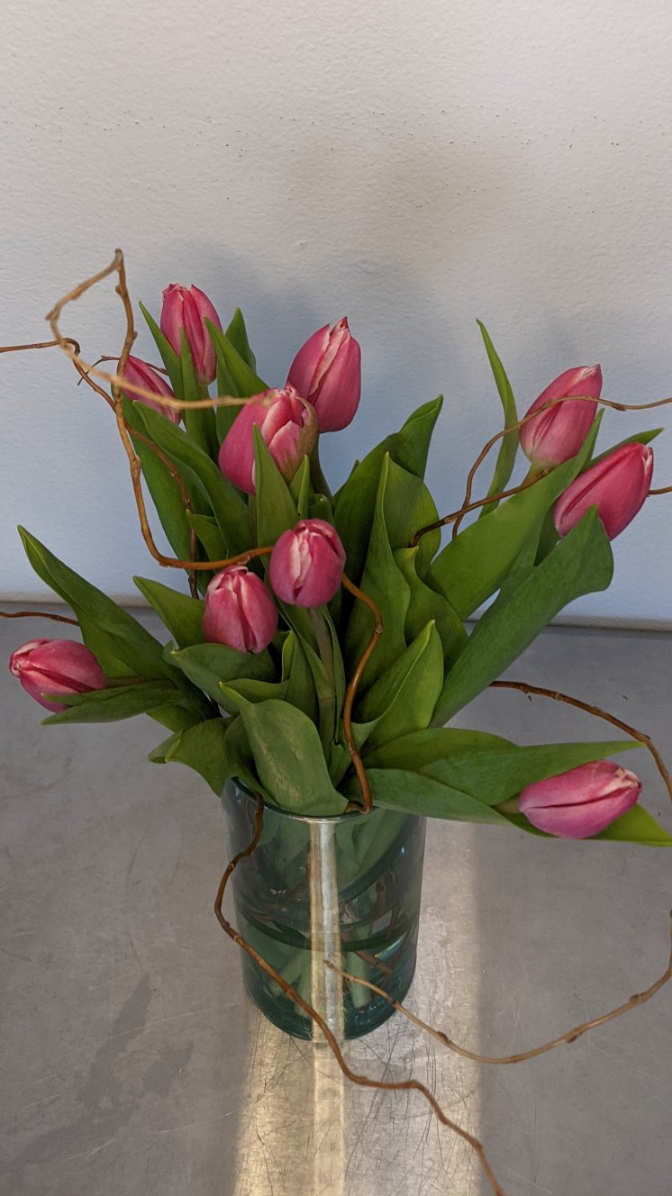 Small Truly Tulips